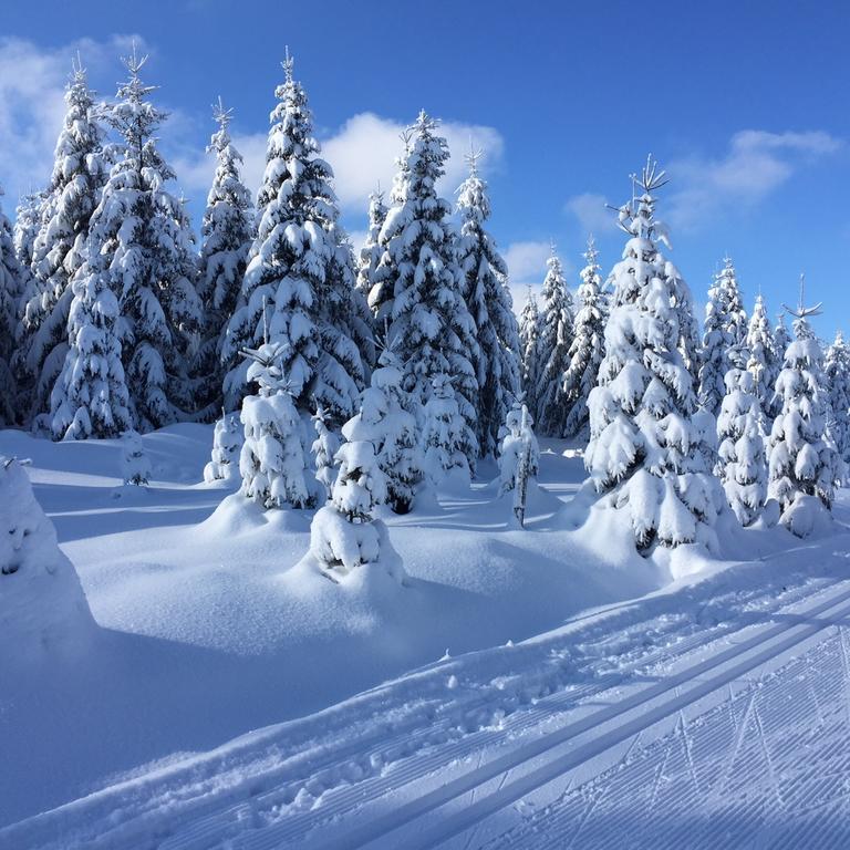 Privat Pohoda Paseky nad Jizerou Exterior foto