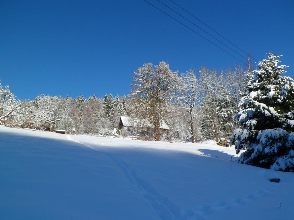 Privat Pohoda Paseky nad Jizerou Exterior foto