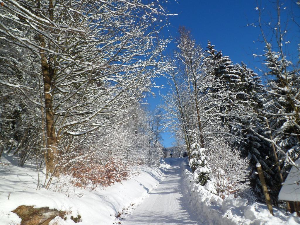 Privat Pohoda Paseky nad Jizerou Exterior foto